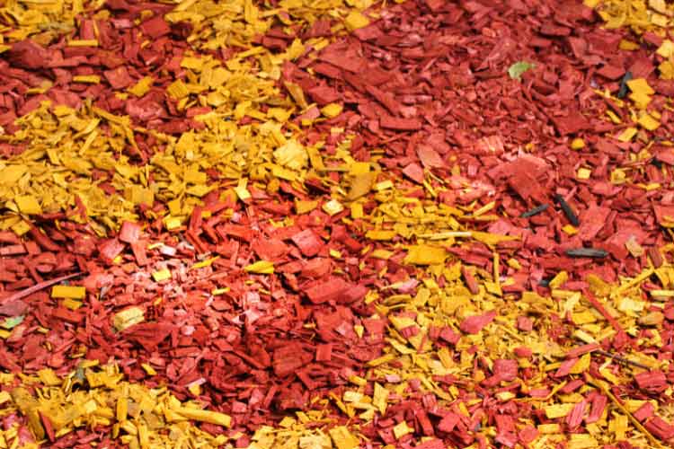 Colorful mulch is one of the fastest ways to revive a dull winter garden