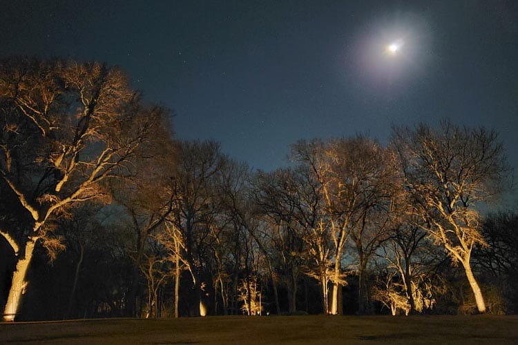 you can solve that problem and allow all elements to shine