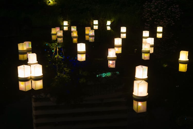 they turn on automatically at night after charging during the day