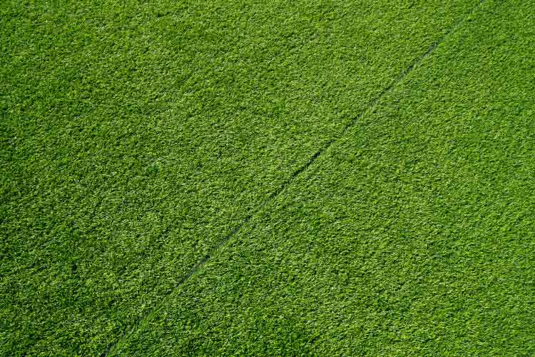 Cleaning is the biggest benefit of outdoor rugs because you need nothing but a hose and a bit of sunshine
