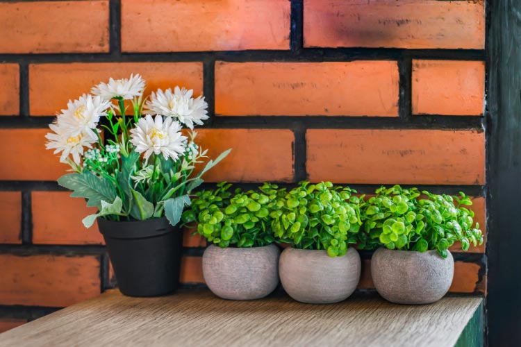 Some things can make real plants impractical