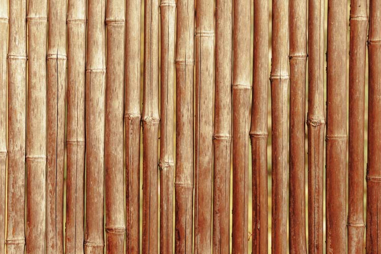 organic look with the added bonus of substantial wind protection