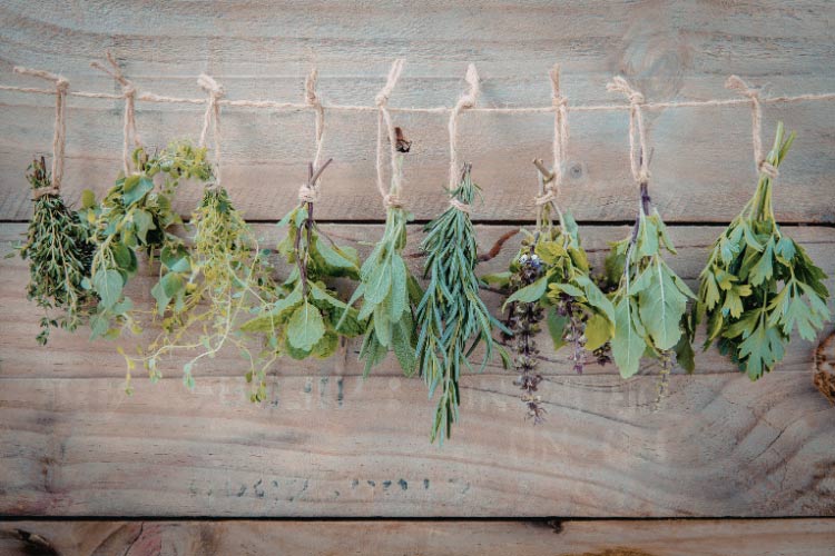 The best way to make use of vertical space rather than horizontal is by hanging your plants