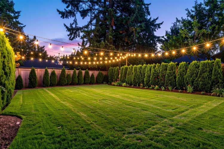Lighting transforms a backyard from meh to magical in an instant