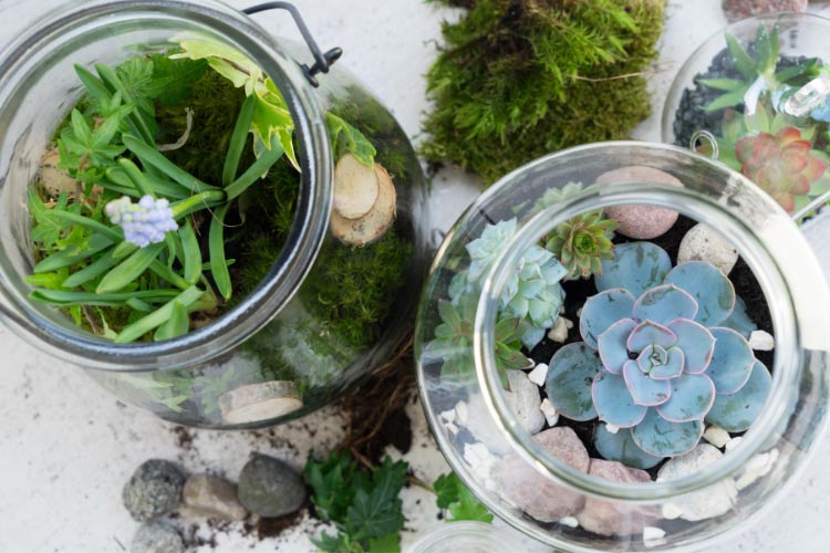 Mason jars are worth gold to DIY enthusiasts
