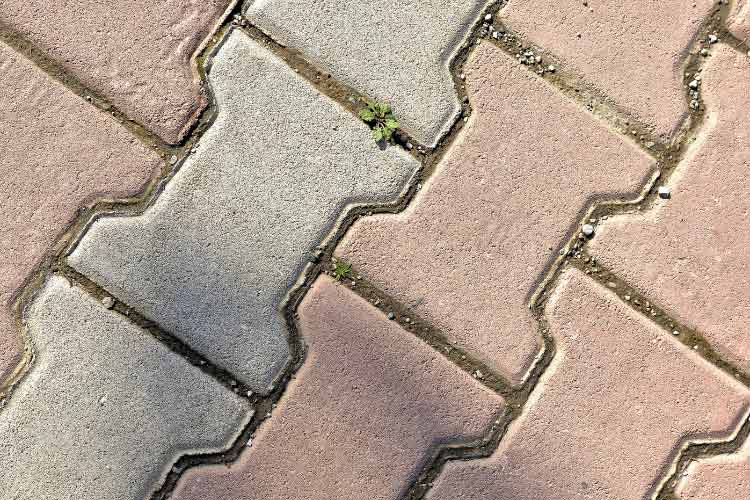 easy alternatives to grass for small backyards that beat interlocking tiles