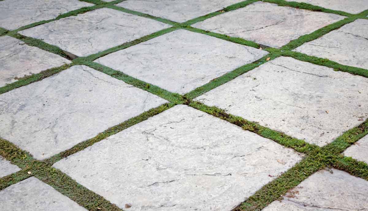 generous spacing for simplicity and flow