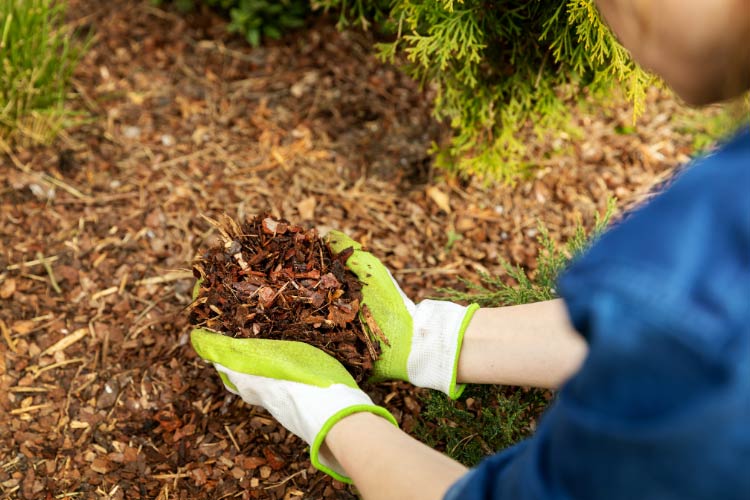 Use mulch beds to curve around the deck for a natural look