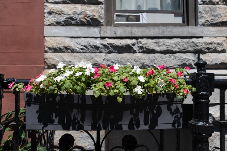 Railing planters make use of the precious space that would otherwise stay empty