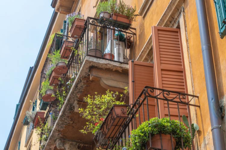 Space the boxes evenly to ensure that all plants get sufficient light exposure and to create a clean look