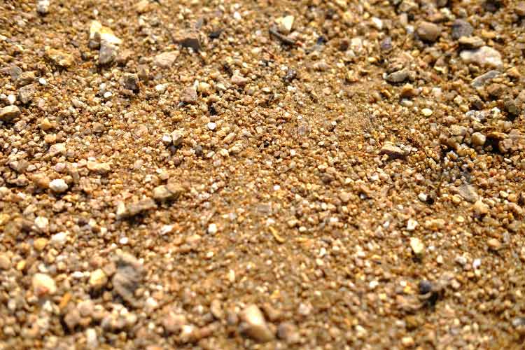 exceptionally easy to maintain