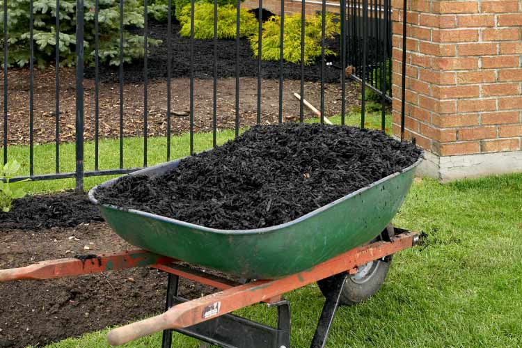 rubber mulch just so happens to be the perfect choice for play areas