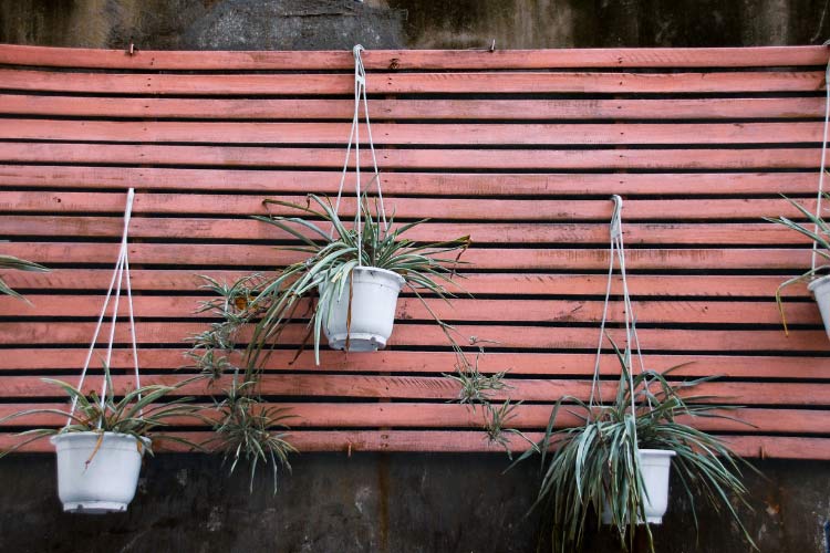 Suspended gardens not only save floor space