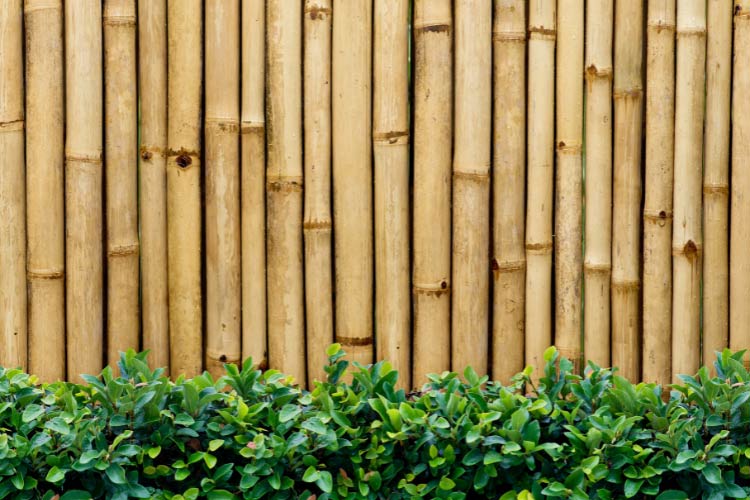 The good news is that temporary privacy screens can solve your issue