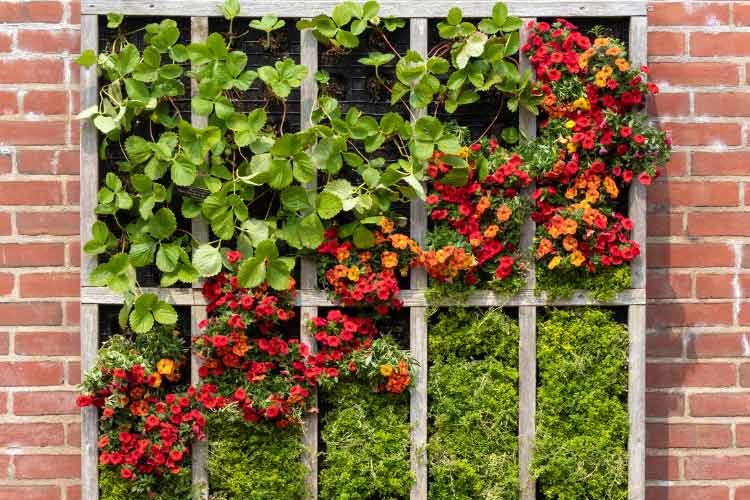 Vertical gardening is what you do when floor space is limited