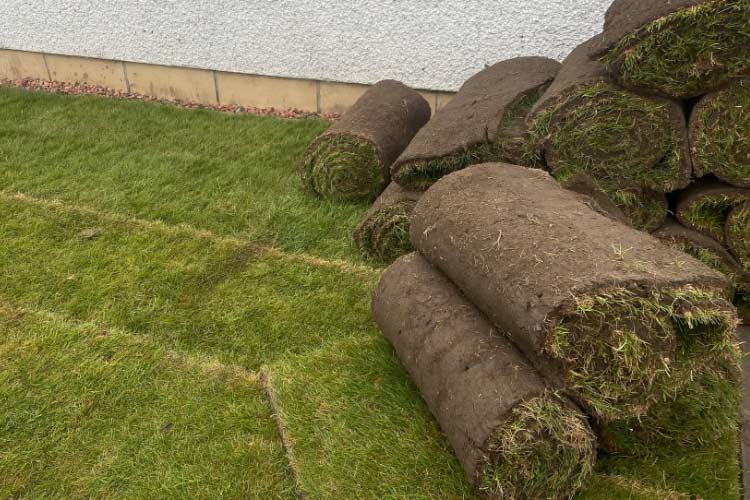 artificial turf can transform your rocky patch into the green carpet you wanted