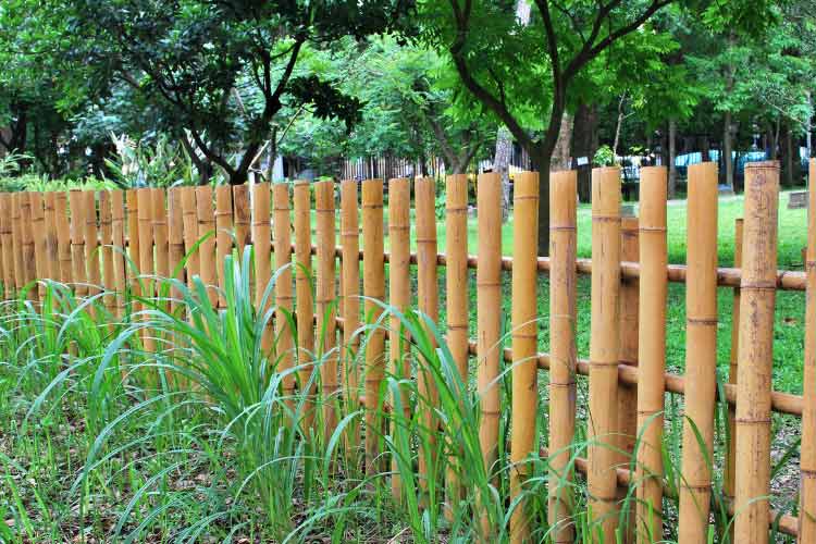 Bamboo is one of the most effective natural fencing materials out there