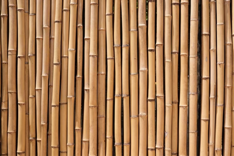 Bamboo rolls come in various heights and lengths
