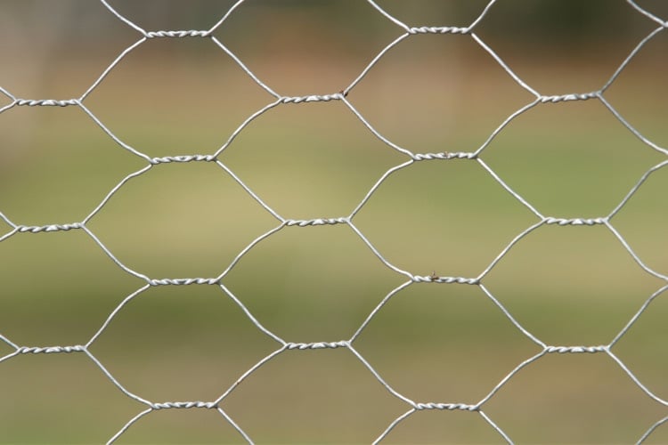 Chicken wire is one of the cheapest DIY dog fence ideas for your yard