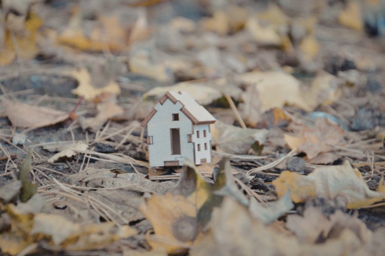 Once you get rid of it with a rake or leaf blower landscaping will be much easier