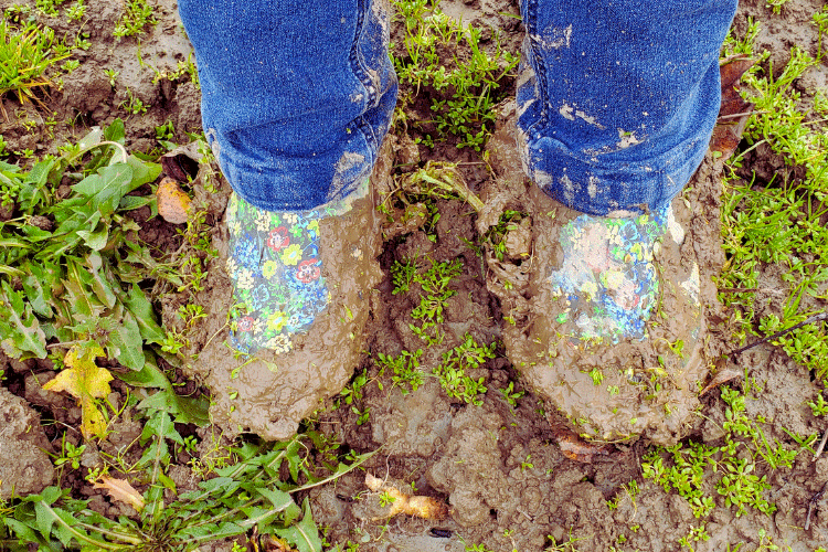 Easy Fixes For A Muddy Backyard