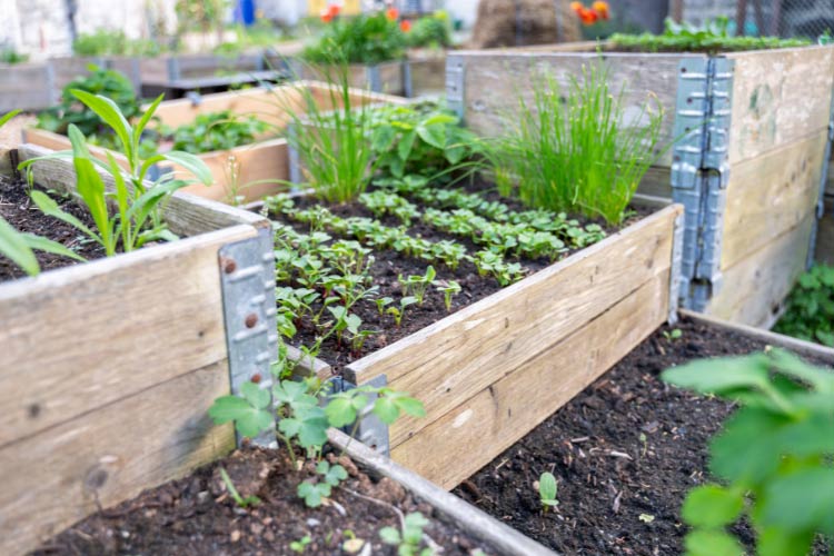 make your garden beds bigger