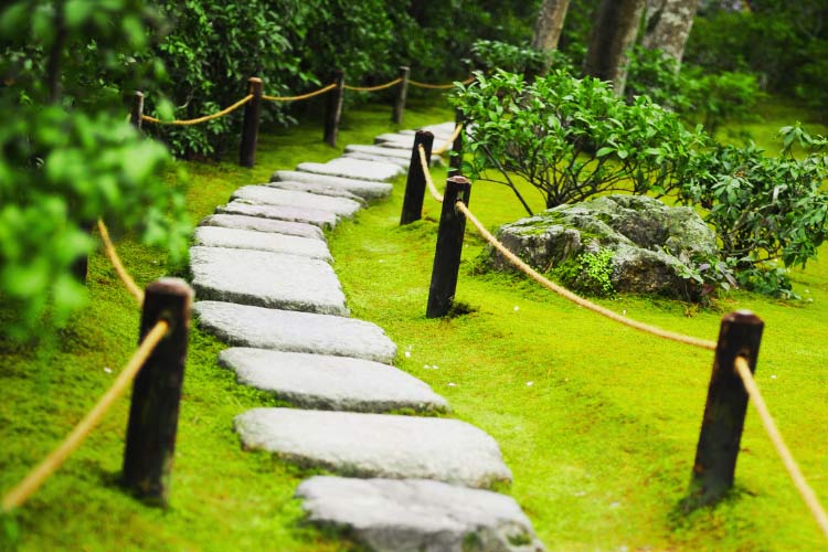 You can always use flat stones like flagstone