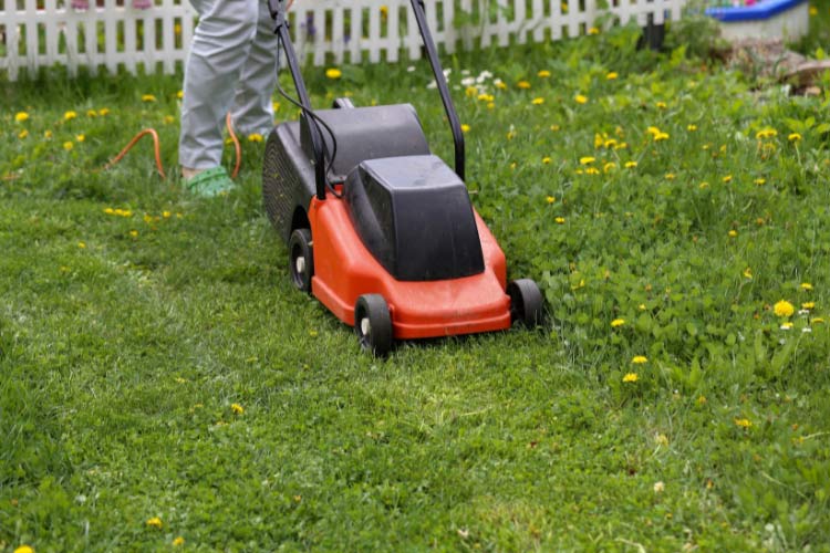 lawnmower around aimlessly to get it over and done with than to spend time on the finer details