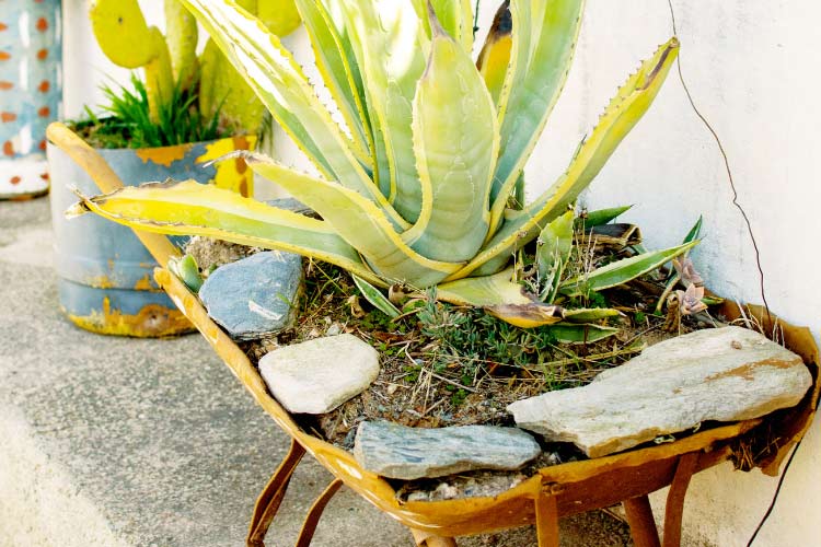 a great way to free up some space and use something that does not have a purpose anymore