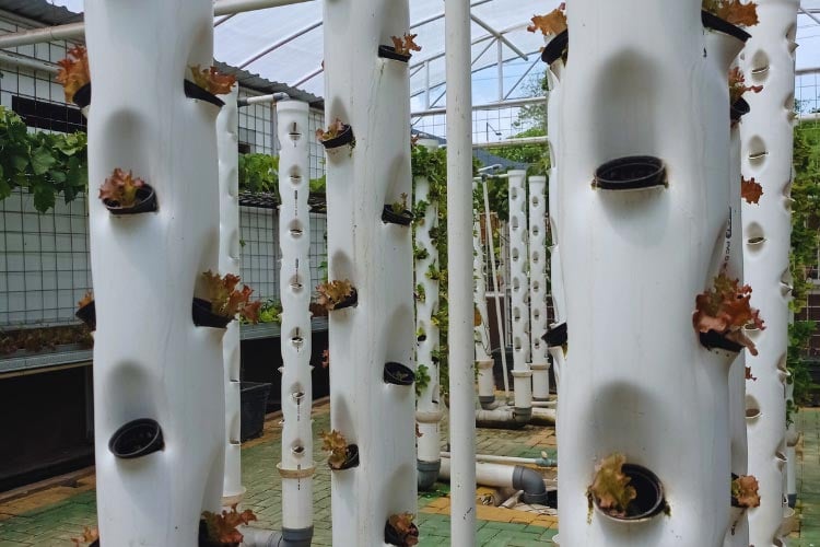 The beauty of this cheap container gardening idea is that it creates a sleek vertical planter