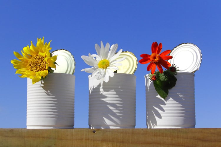 It turns out that empty cans make great garden containers