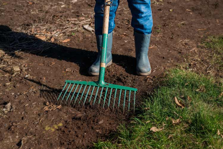 Not only will it look much better and fresher