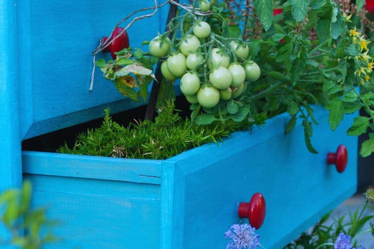 take out the drawers and give them a brand new purpose