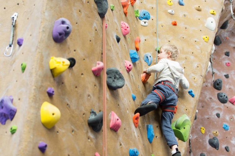 Bolt on some climbing holds in varied shapes and colors for extra fun