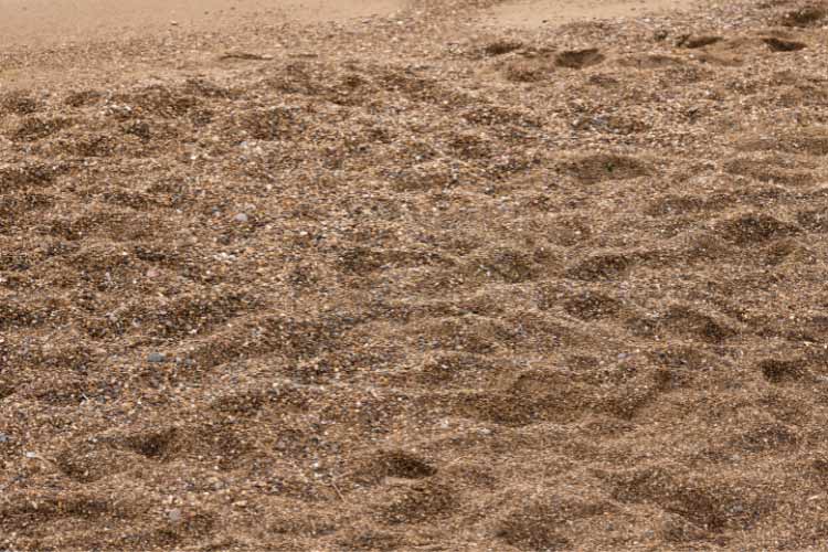 Sand leveling is so simple that you may even overlook it as a cheap way to cover the bare spots in your yard