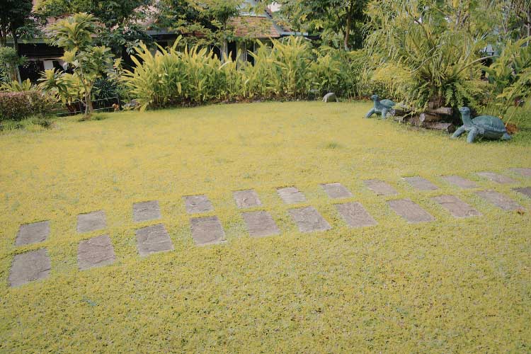 Lay them directly over the problem areas