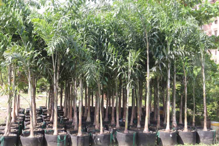 You can move them around to change up the layout and to respond to seasonal conditions