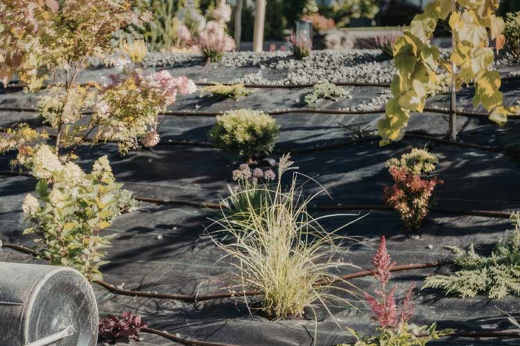 have landscape fabric underneath your gravel driveway