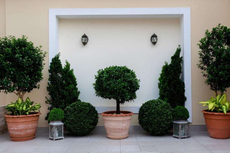 A cluster of containers filled with greenery guides the eye toward the entrance