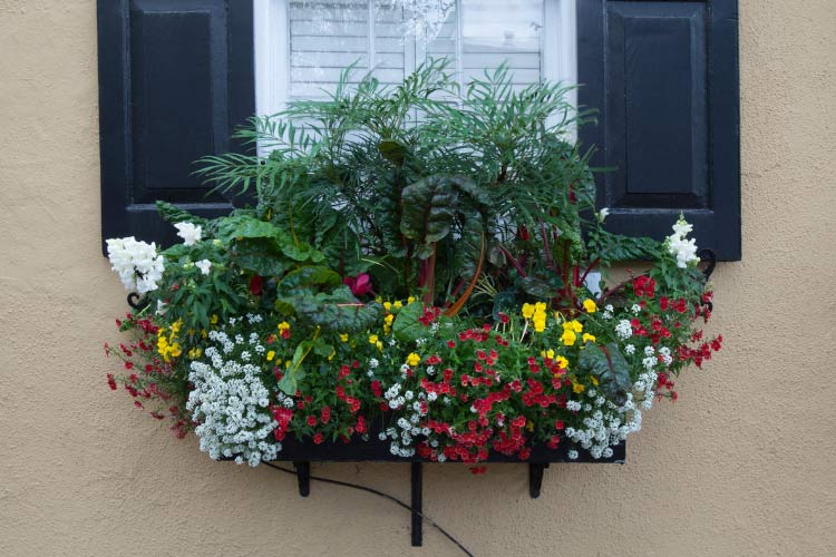 metal boxes are durable and perfect for seasonal flowers